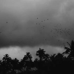 吃女王主人拉的大便
