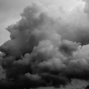 吃女王主人拉的大便
